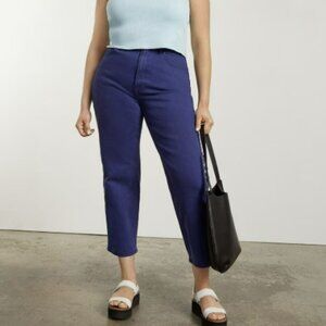 EVERLANE WAY HIGH ARCHROMA BLUE JEANS SIZE 6  SPRING PREPPY SLIMMING HIGH WAIST